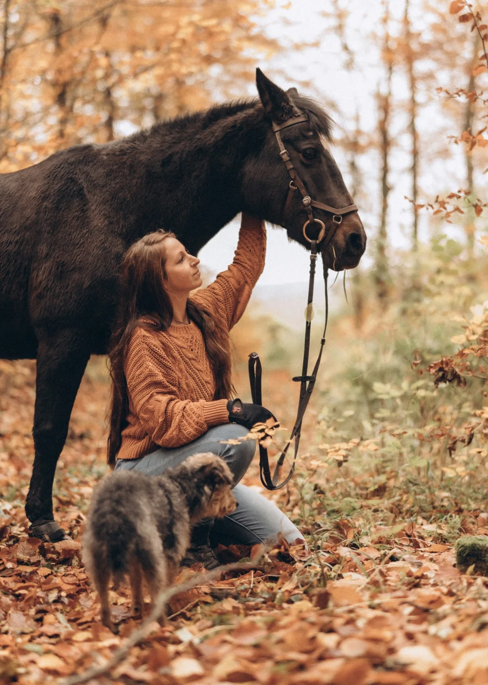 Die Referentin mit Pferd und Hund